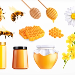 How to Spot Fake Honey vs. Real Organic Honey