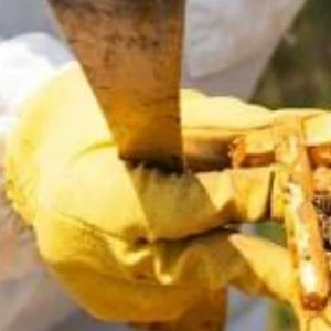 Not All Honey Is Pure: How OrganicFreshIndia Ensures 100% Raw, Chemical-Free Honey