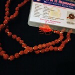 5 Mukhi Rudraksha Certified Natural Beads Japa Mala