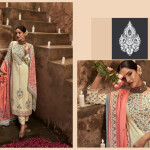 Pashmina Digital Prints With Elegant Embroidery