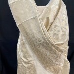 Banarasi Suit with Beautiful Handloom Weaved Dupatta
