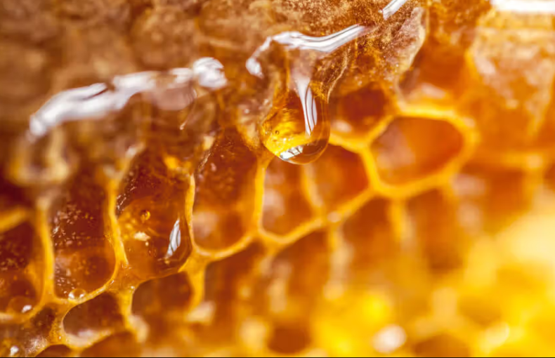 How Do Bees Make Honey? The Sweet Science Explained