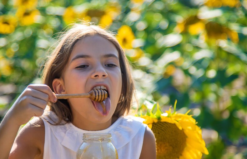 Can Best Sunflower Honey Help in Weight Loss? Science-Backed Facts