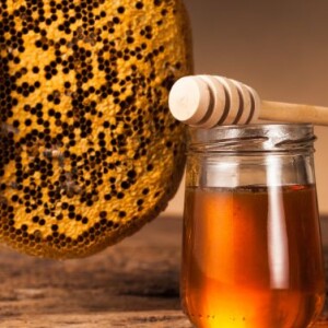 From Farm to Jar – How Pansofic Mall India Delivers Pure Sunflower Honey to You